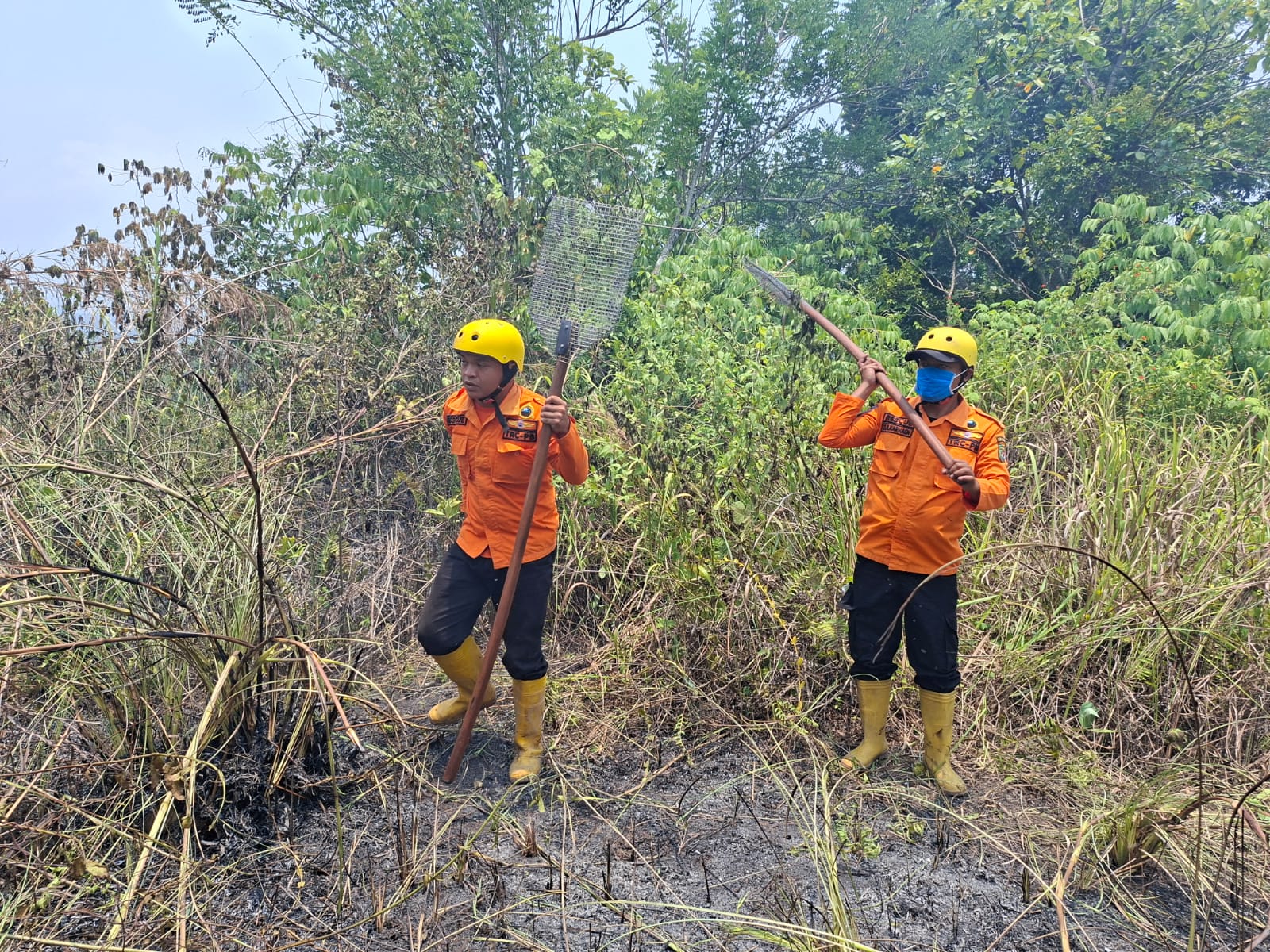 Asap Ancam Permukiman, BPBD Madina Tangani Kebakaran Bukit Cemara